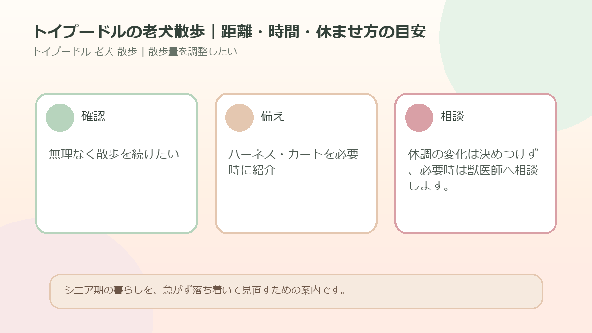 トイプードルの老犬散歩｜距離・時間・休ませ方の目安のアイキャッチ図解