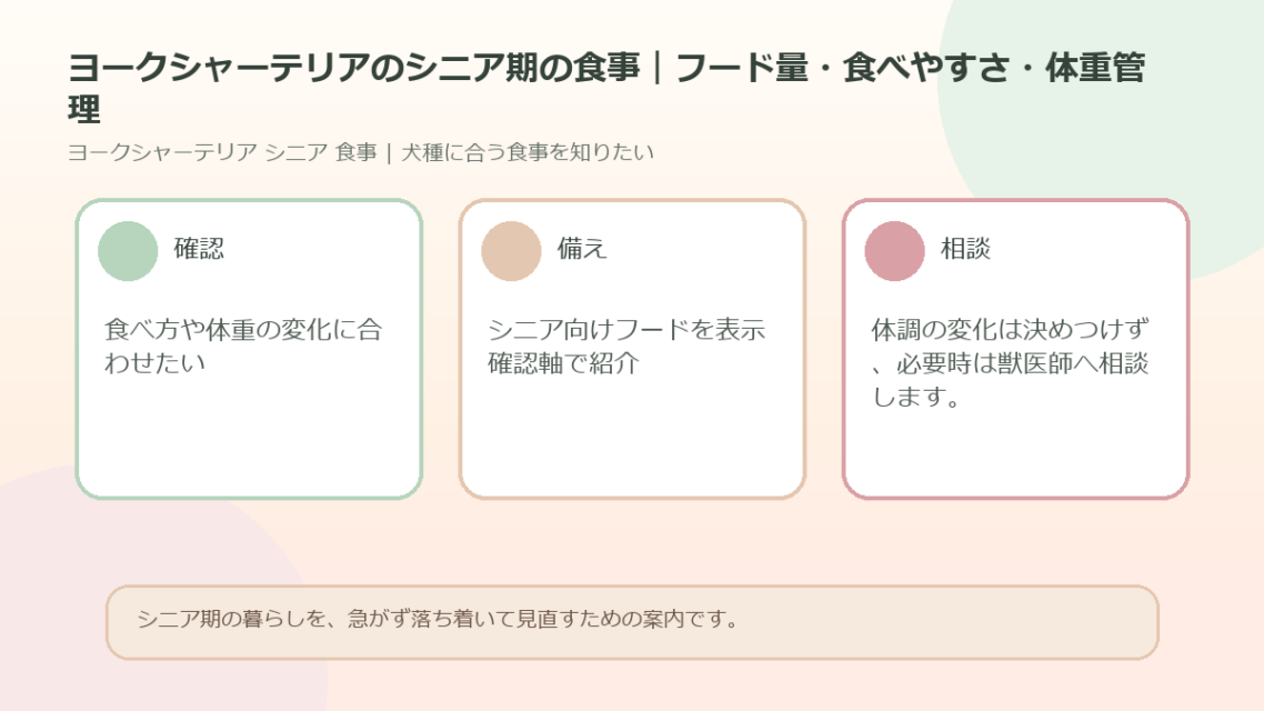 ヨークシャーテリアのシニア期の食事｜フード量・食べやすさ・体重管理のアイキャッチ図解