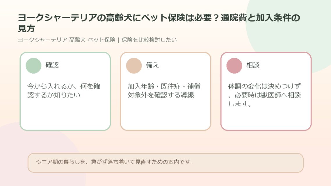 ヨークシャーテリアの高齢犬にペット保険は必要？通院費と加入条件の見方のアイキャッチ図解
