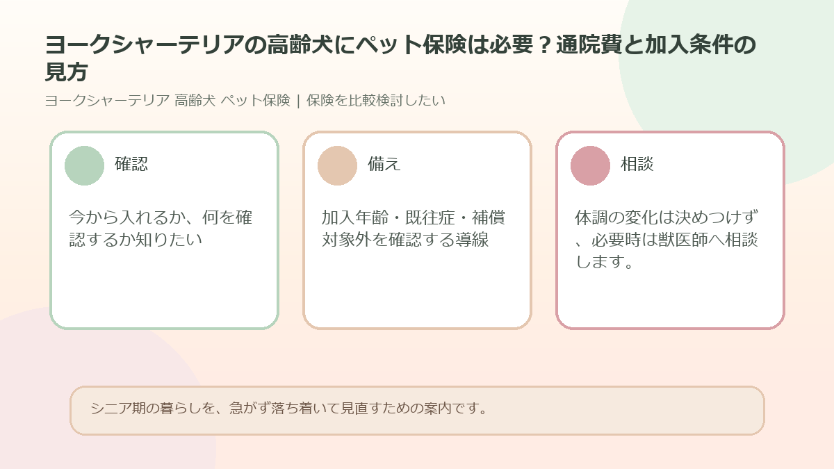 ヨークシャーテリアの高齢犬にペット保険は必要？通院費と加入条件の見方のアイキャッチ図解