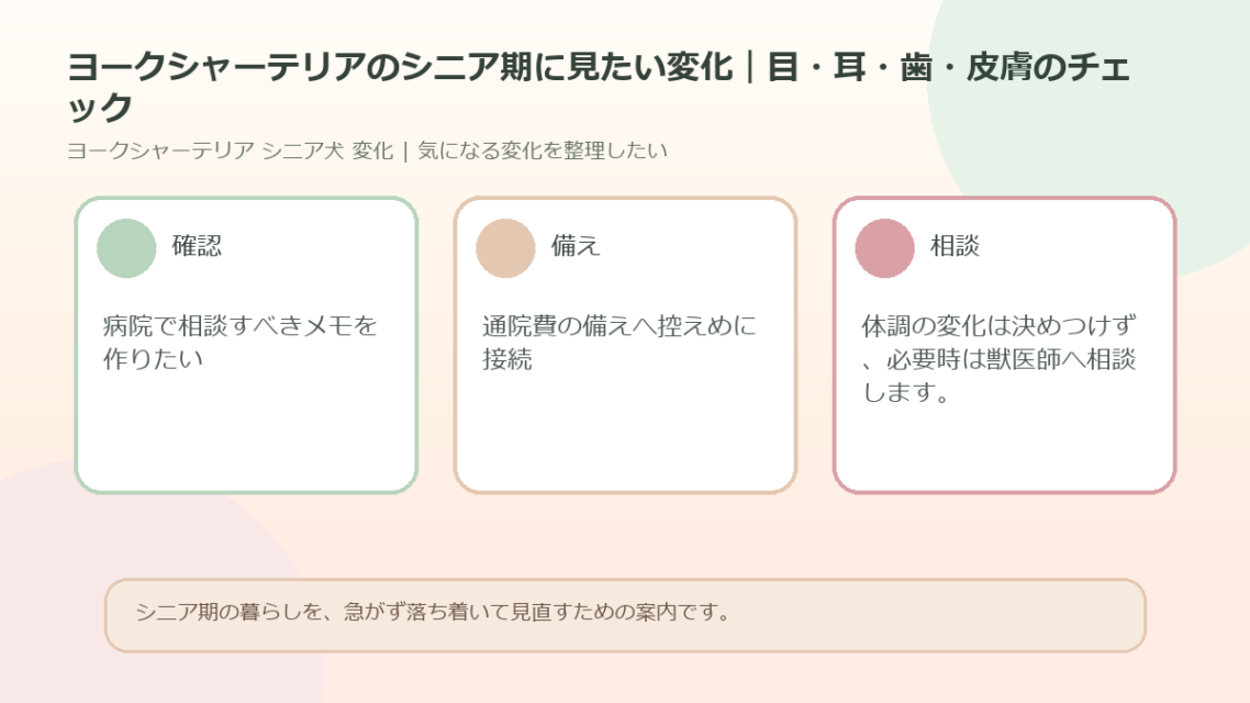 ヨークシャーテリアのシニア期に見たい変化｜目・耳・歯・皮膚のチェックのアイキャッチ図解