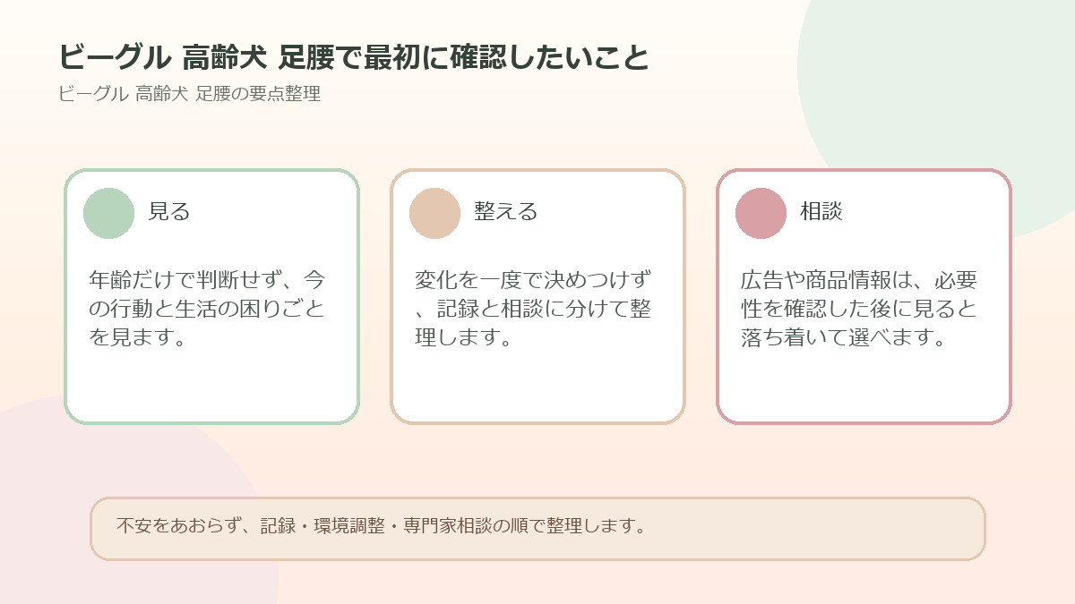 ビーグル 高齢犬 足腰で最初に確認したいことを整理した図解