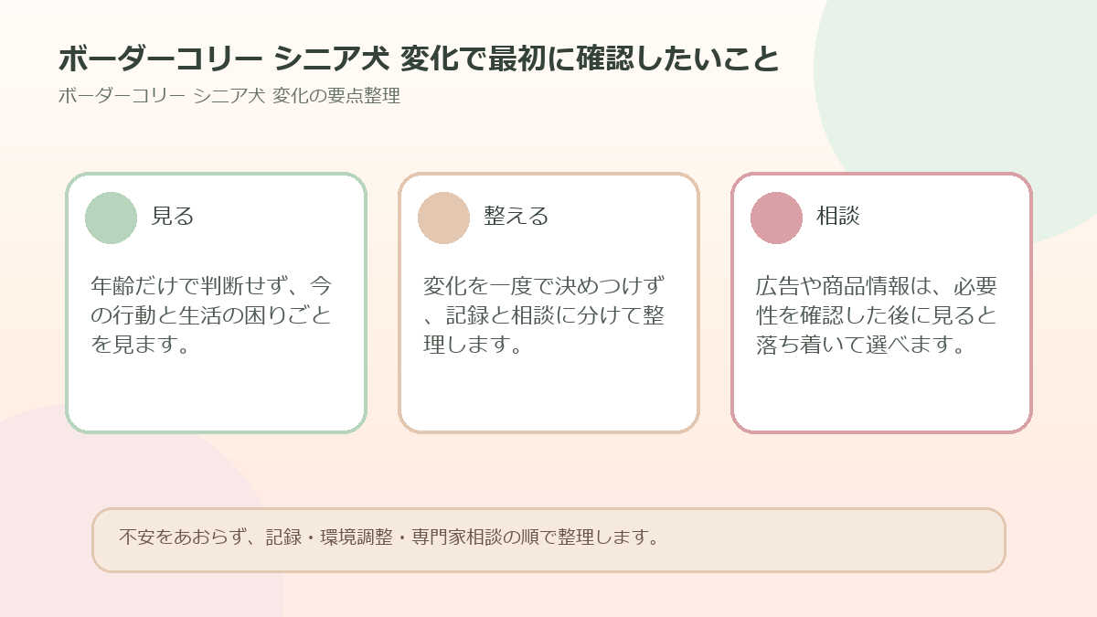 ボーダーコリー シニア犬 変化で最初に確認したいことを整理した図解