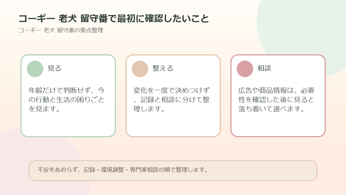 コーギー 老犬 留守番で最初に確認したいことを整理した図解