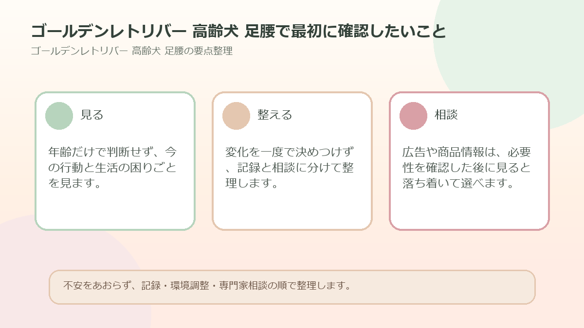 ゴールデンレトリバー 高齢犬 足腰で最初に確認したいことを整理した図解
