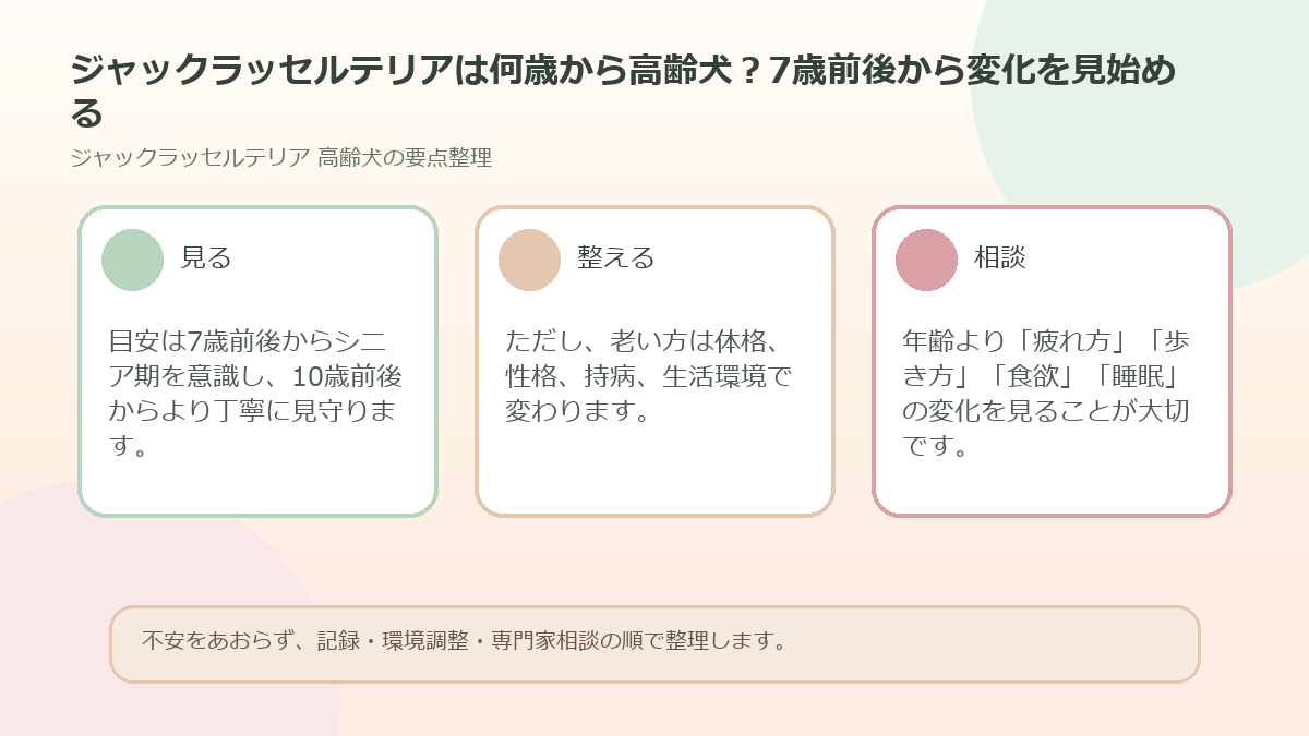 ジャックラッセルテリアは何歳から高齢犬？7歳前後から変化を見始めるを整理した図解