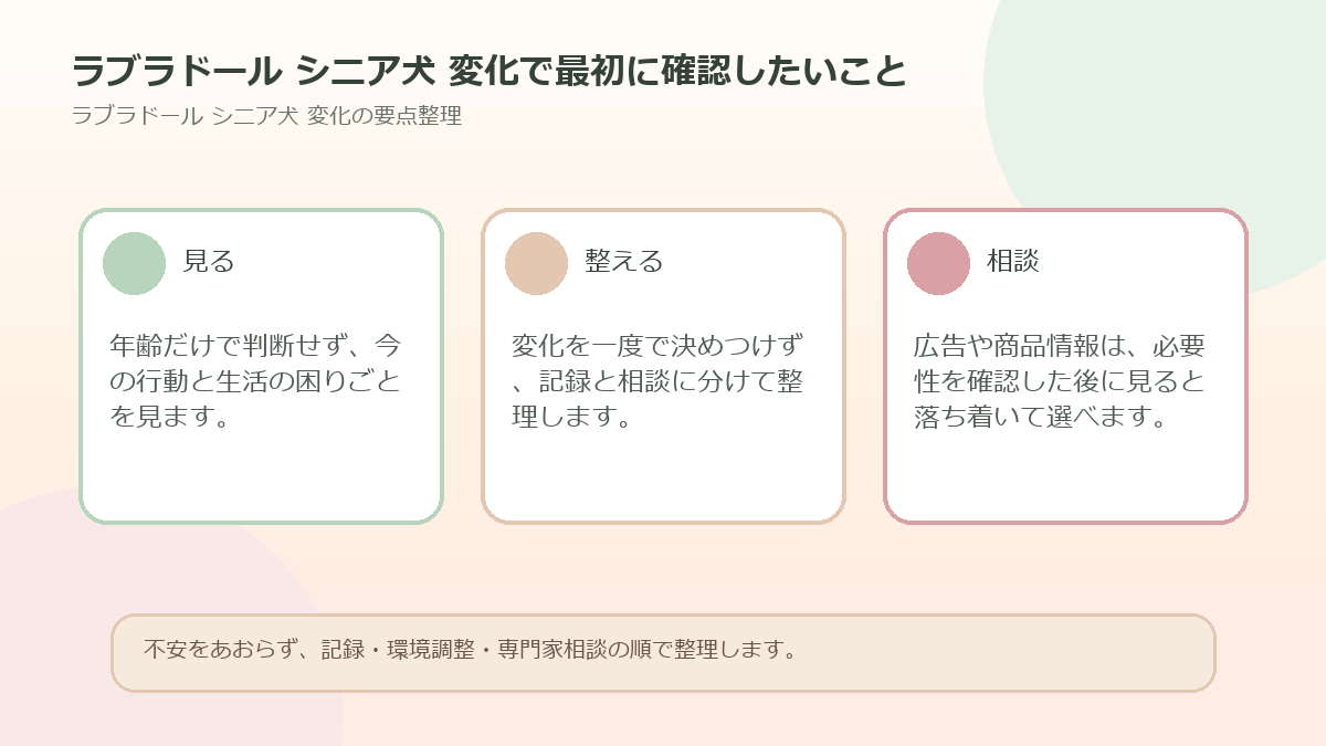 ラブラドール シニア犬 変化で最初に確認したいことを整理した図解