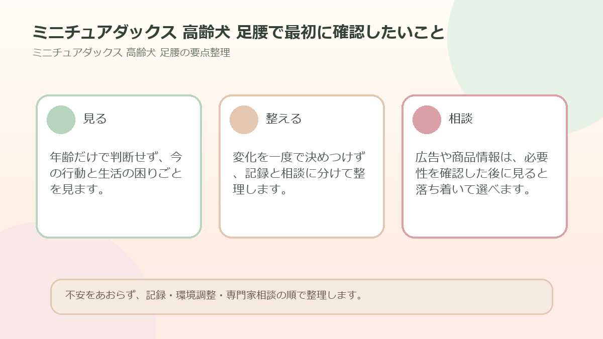 ミニチュアダックス 高齢犬 足腰で最初に確認したいことを整理した図解
