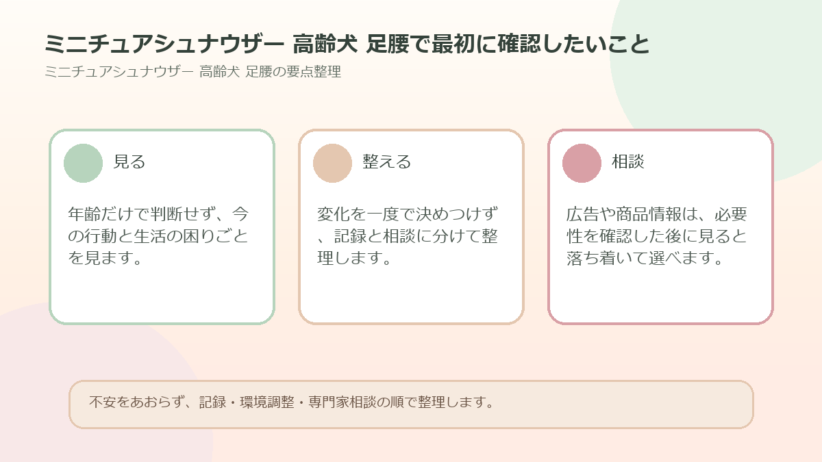 ミニチュアシュナウザー 高齢犬 足腰で最初に確認したいことを整理した図解