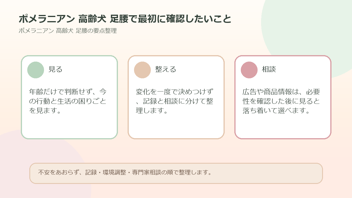 ポメラニアン 高齢犬 足腰で最初に確認したいことを整理した図解