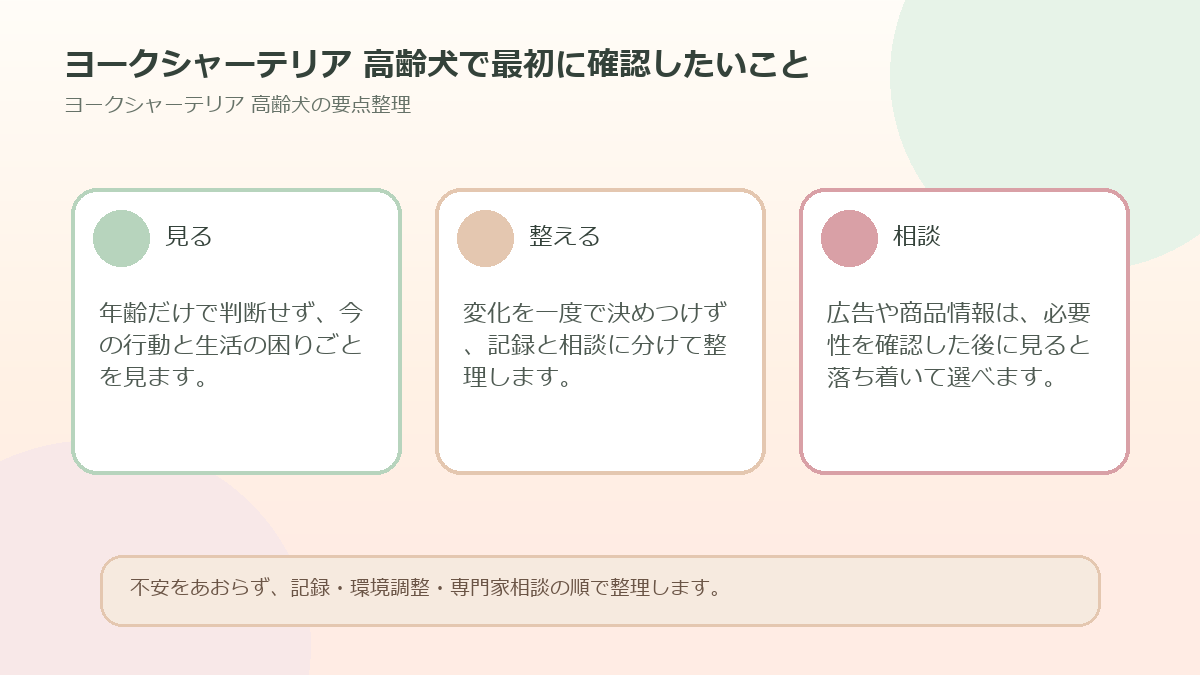 ヨークシャーテリア 高齢犬で最初に確認したいことを整理した図解
