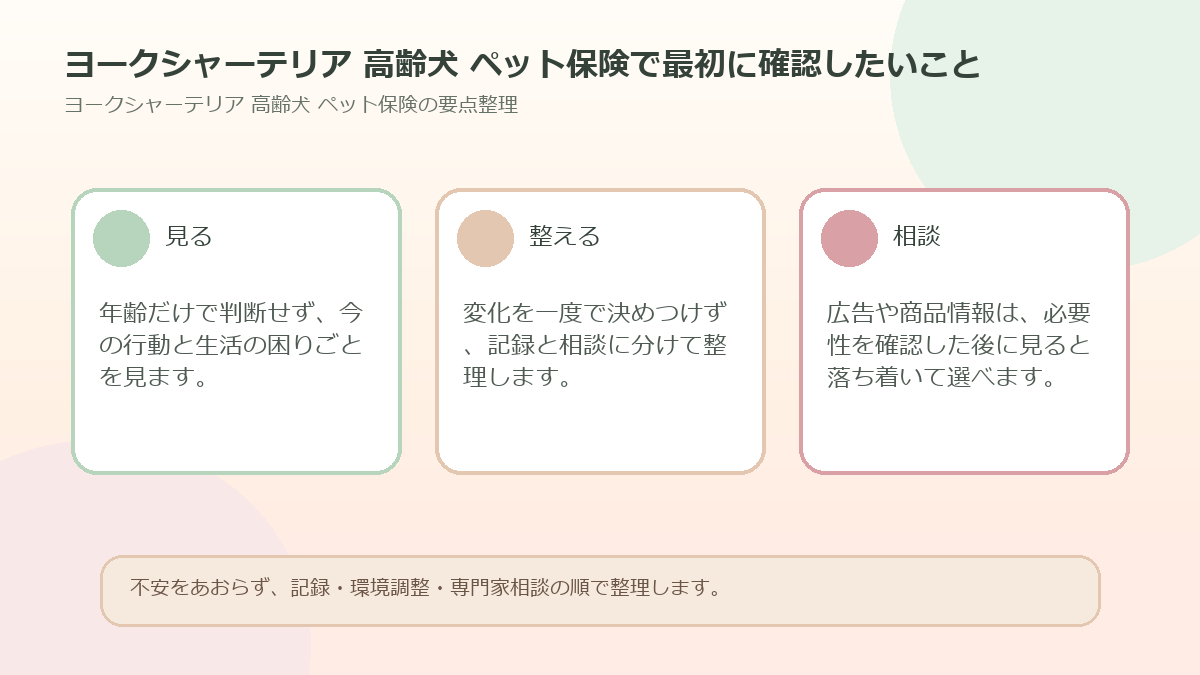 ヨークシャーテリア 高齢犬 ペット保険で最初に確認したいことを整理した図解