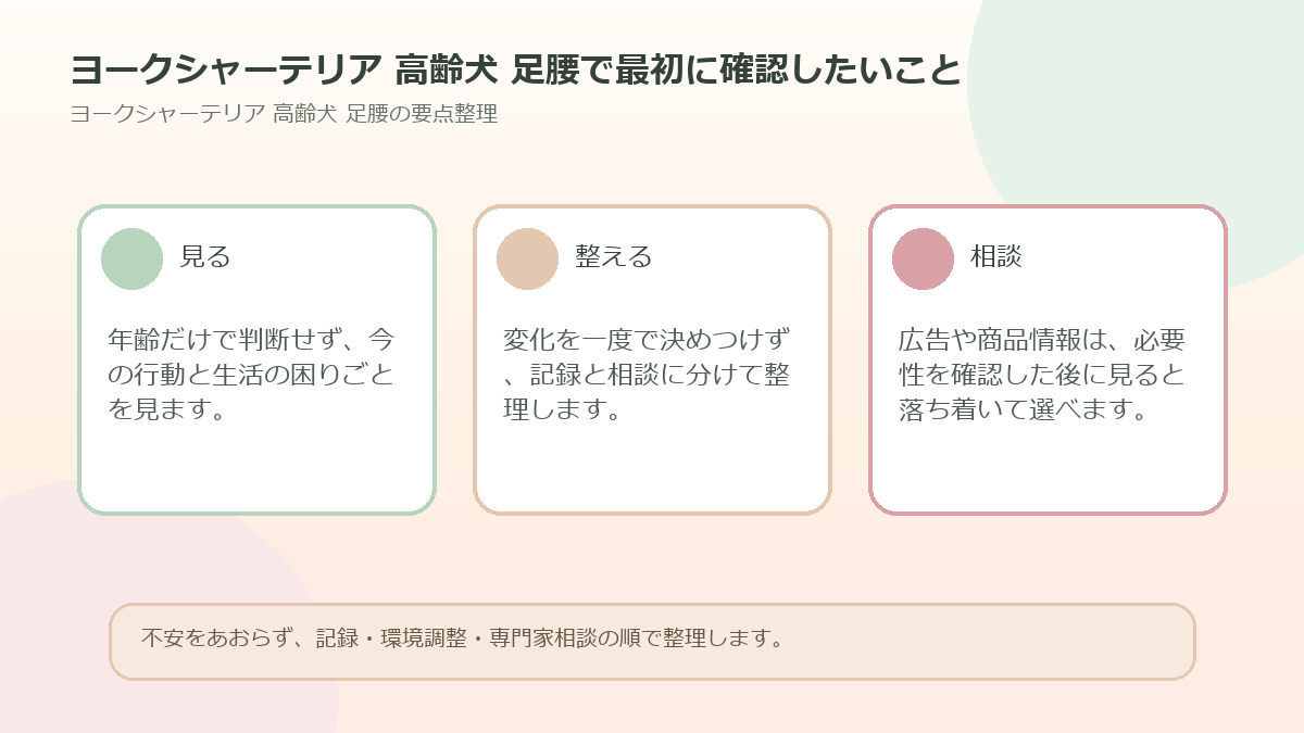 ヨークシャーテリア 高齢犬 足腰で最初に確認したいことを整理した図解