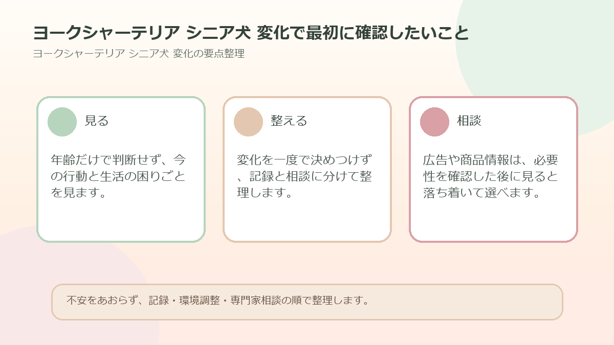 ヨークシャーテリア シニア犬 変化で最初に確認したいことを整理した図解