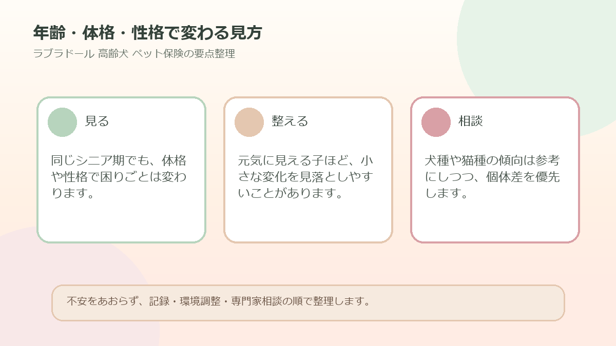 年齢・体格・性格で変わる見方を整理した図解