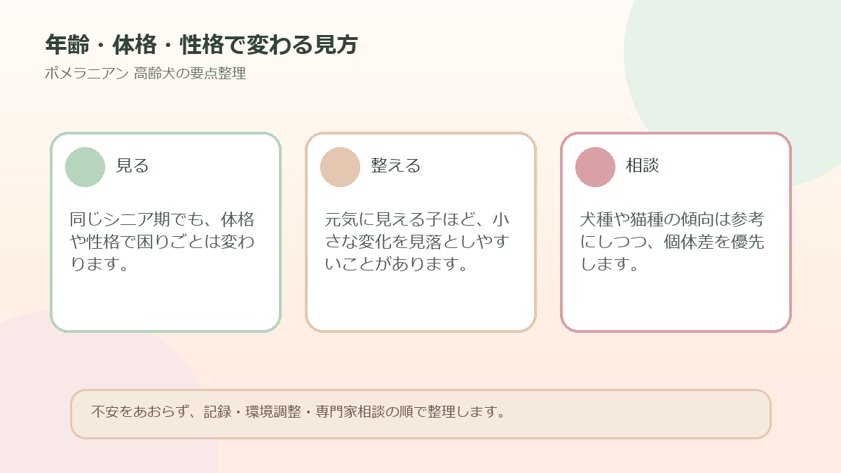 年齢・体格・性格で変わる見方を整理した図解