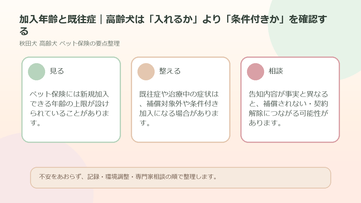 加入年齢と既往症｜高齢犬は「入れるか」より「条件付きか」を確認するを整理した図解