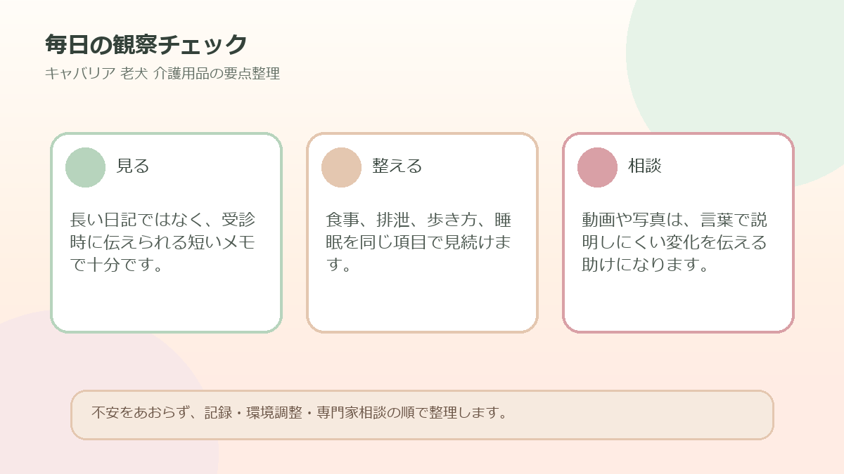 毎日の観察チェックを整理した図解