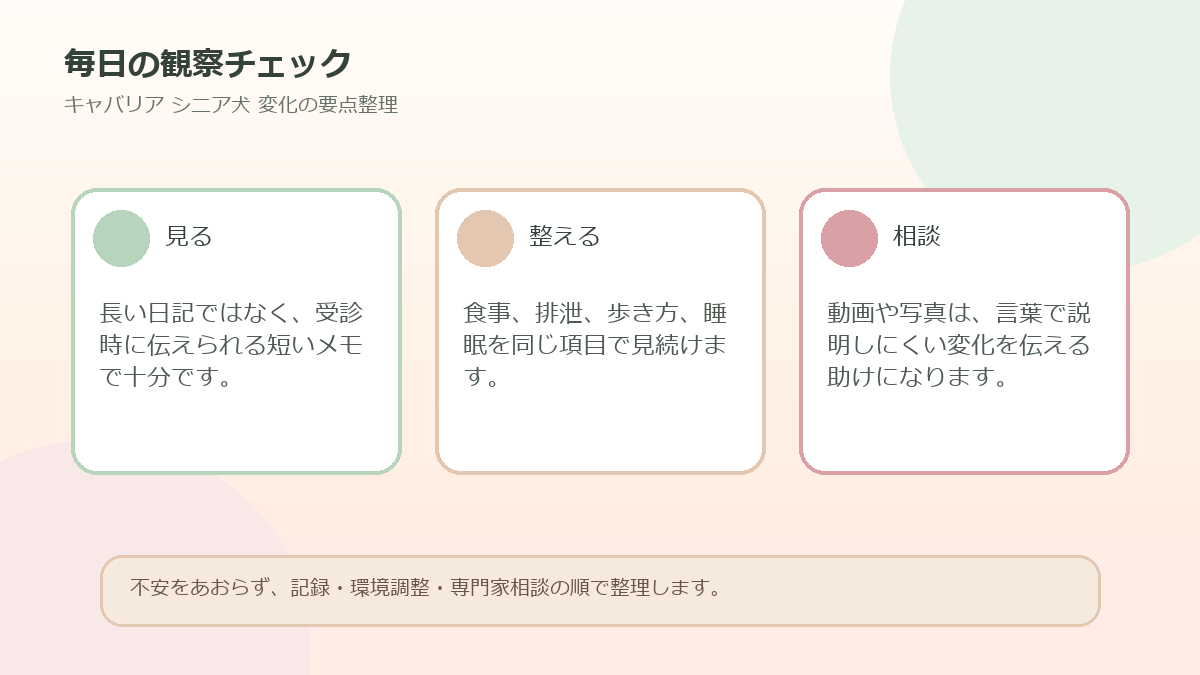 毎日の観察チェックを整理した図解