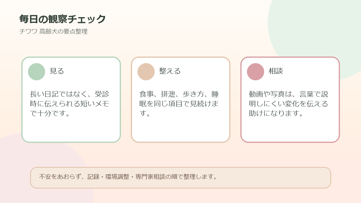 毎日の観察チェックを整理した図解