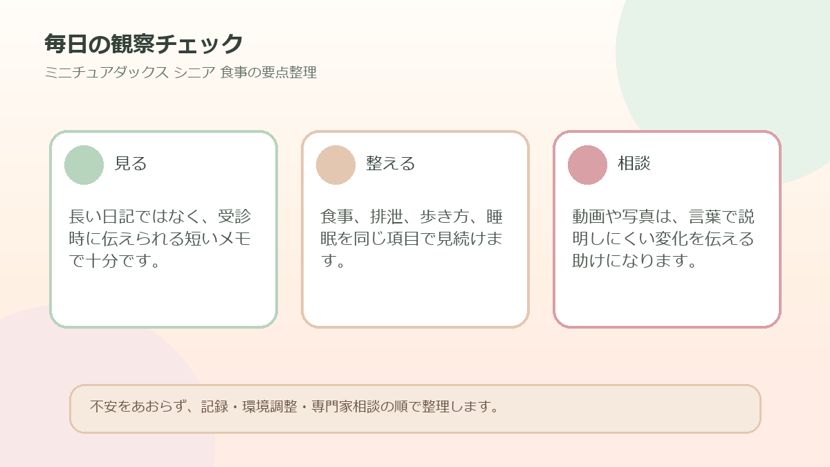 毎日の観察チェックを整理した図解