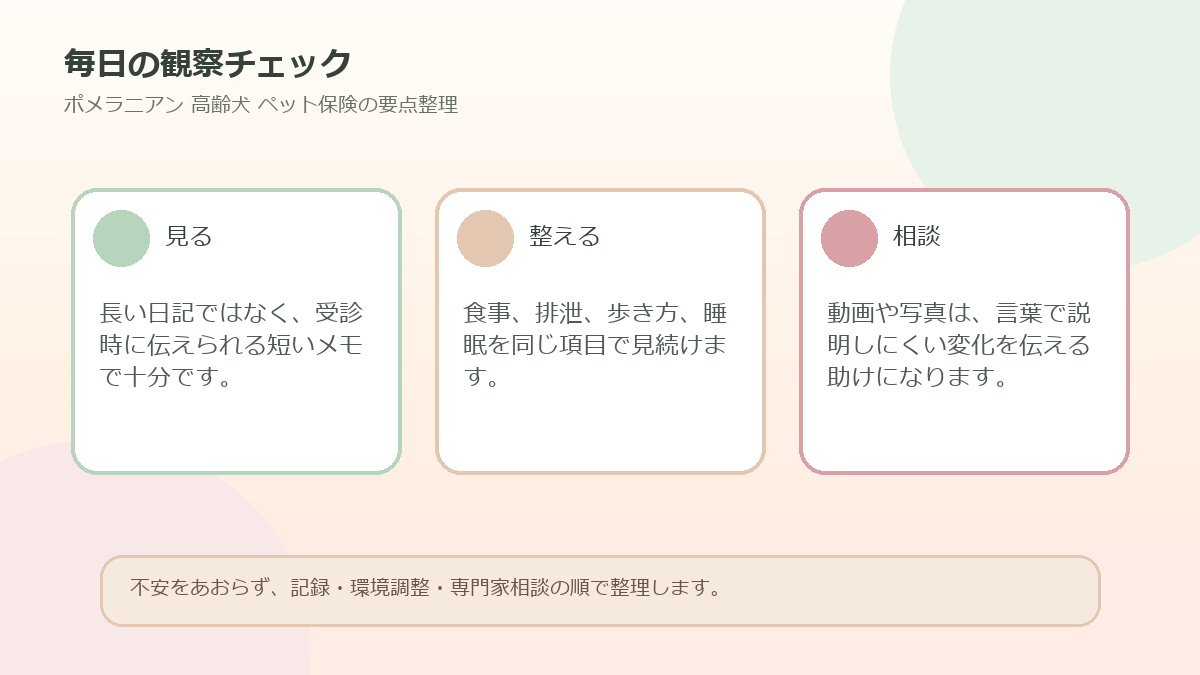 毎日の観察チェックを整理した図解