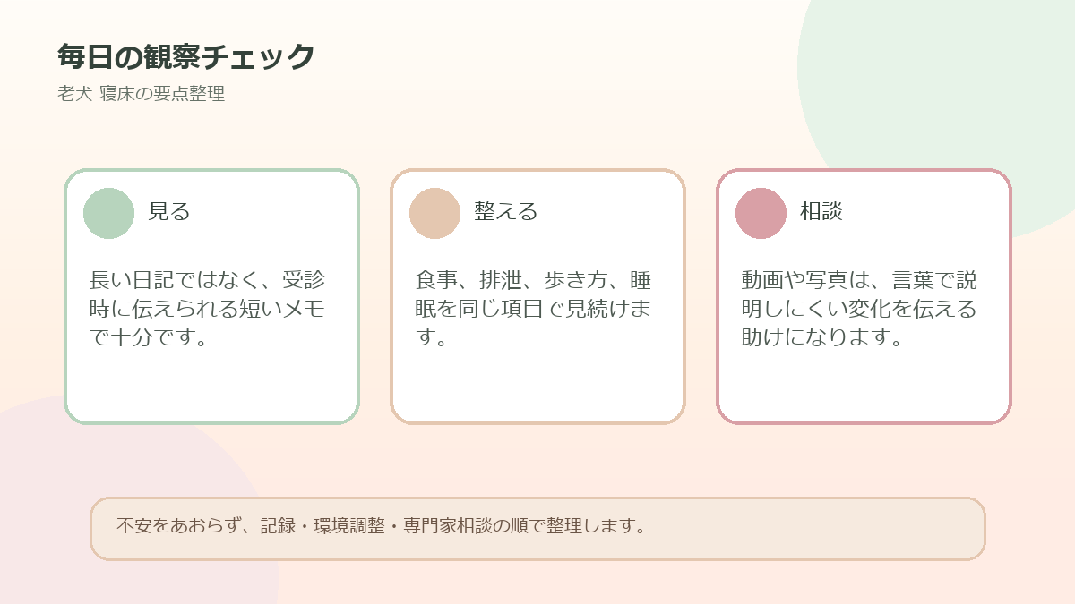 毎日の観察チェックを整理した図解