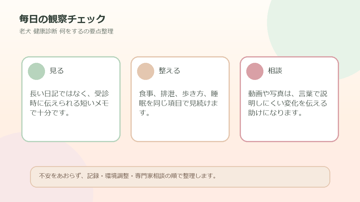 毎日の観察チェックを整理した図解