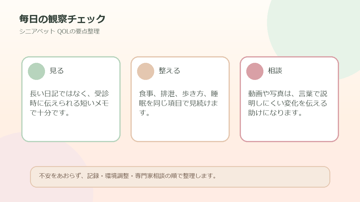 毎日の観察チェックを整理した図解