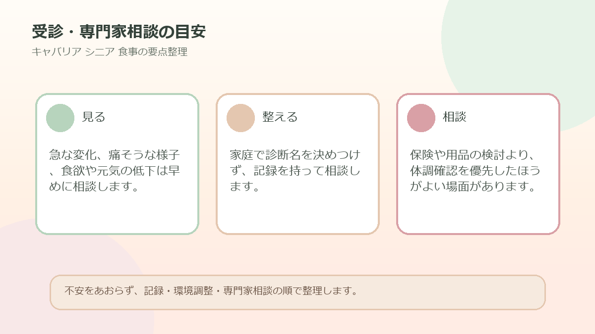 受診・専門家相談の目安を整理した図解