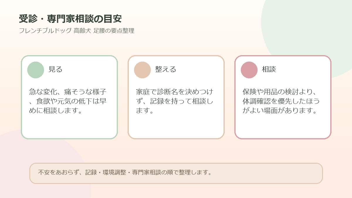 受診・専門家相談の目安を整理した図解