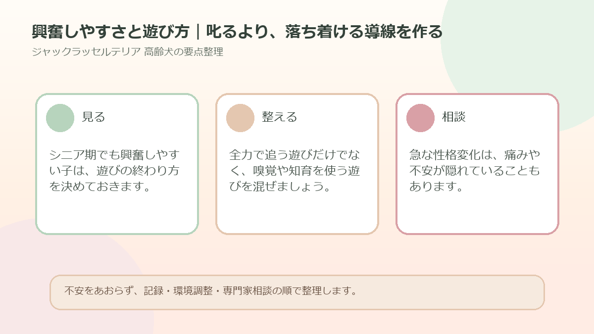 興奮しやすさと遊び方｜叱るより、落ち着ける導線を作るを整理した図解