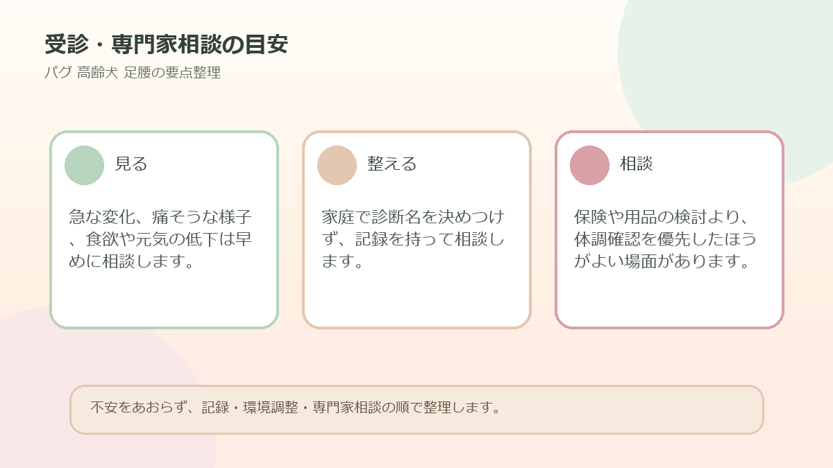 受診・専門家相談の目安を整理した図解