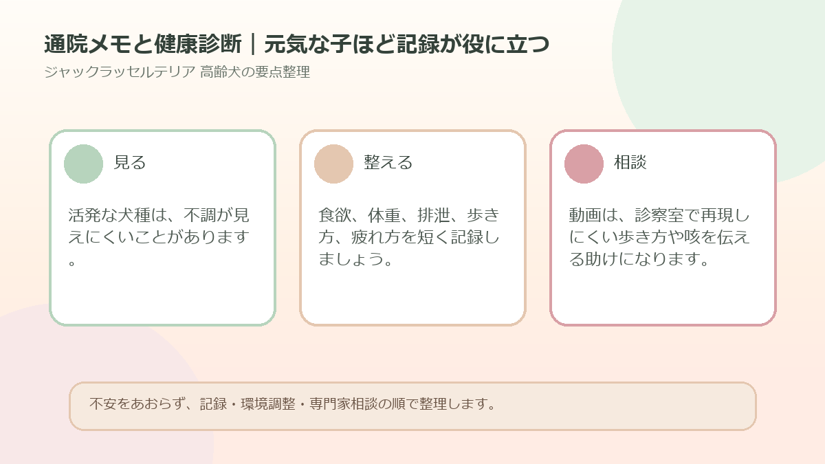 通院メモと健康診断｜元気な子ほど記録が役に立つを整理した図解