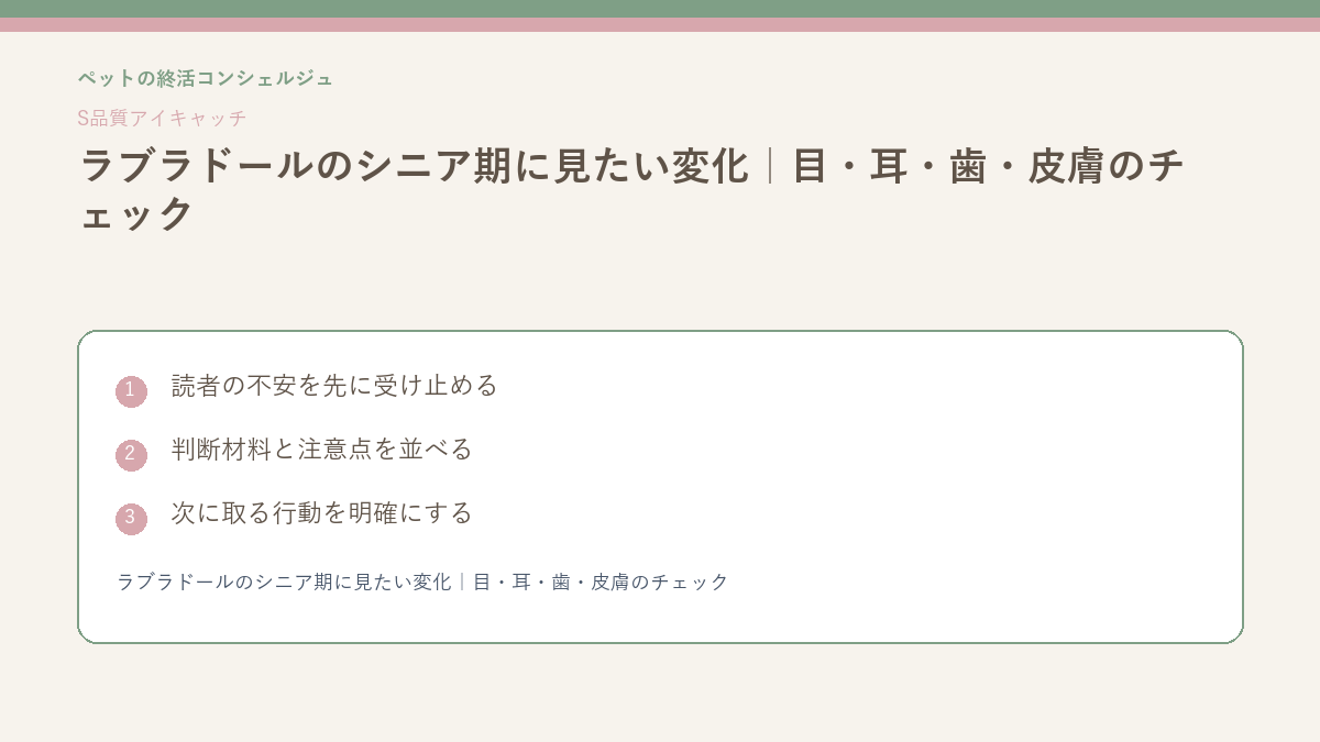 ラブラドールのシニア期に見たい変化｜目・耳・歯・皮膚のチェックのS品質版アイキャッチ